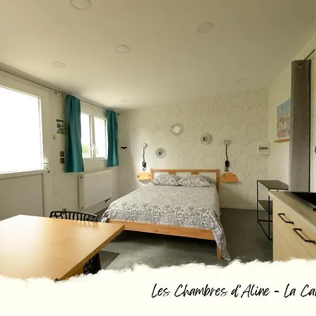 Les D'aline Conches